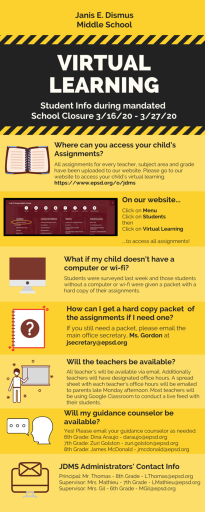 Virtual Learning Infographic